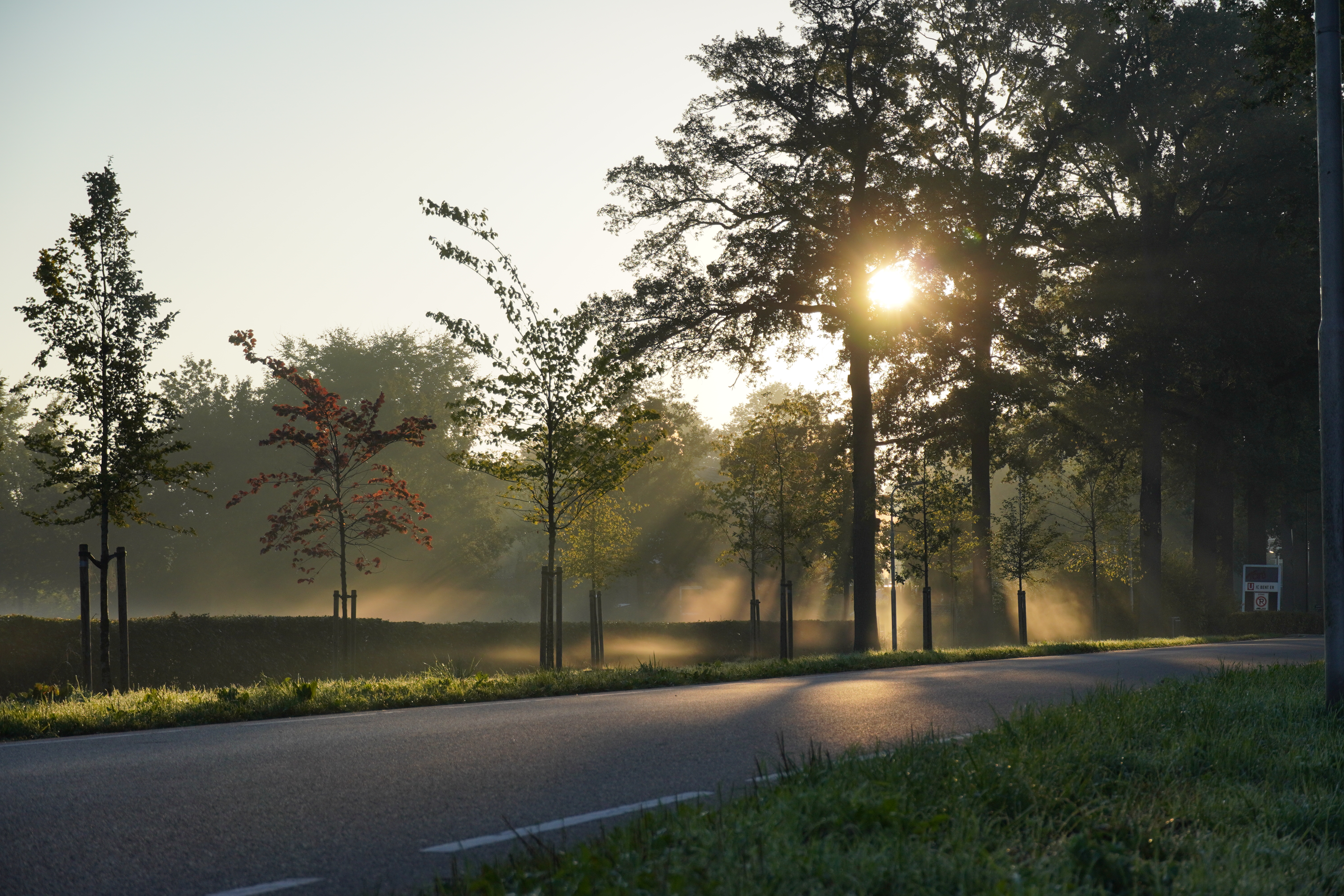 Groen groeit, jij ook?